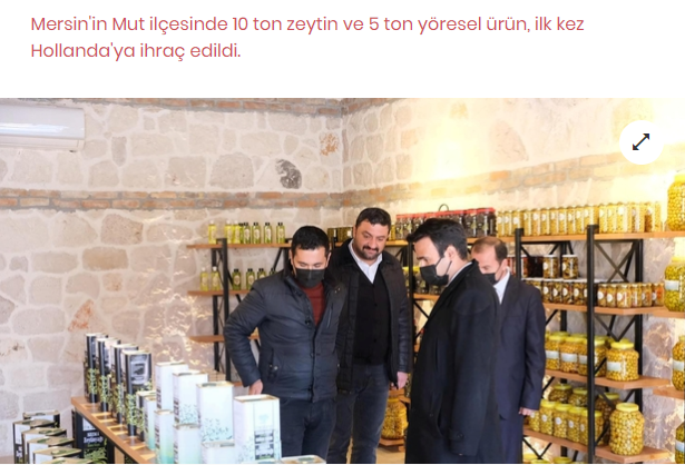 Mutuna Hollanda'ya Zeytin İhracatı